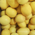 China Wholesale High Quality Fresh Lemon Fresh Citrus Fruit For Sale